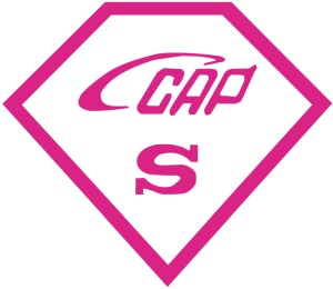 Das CCAP-Logo für die freiwillige Zertifizierung.